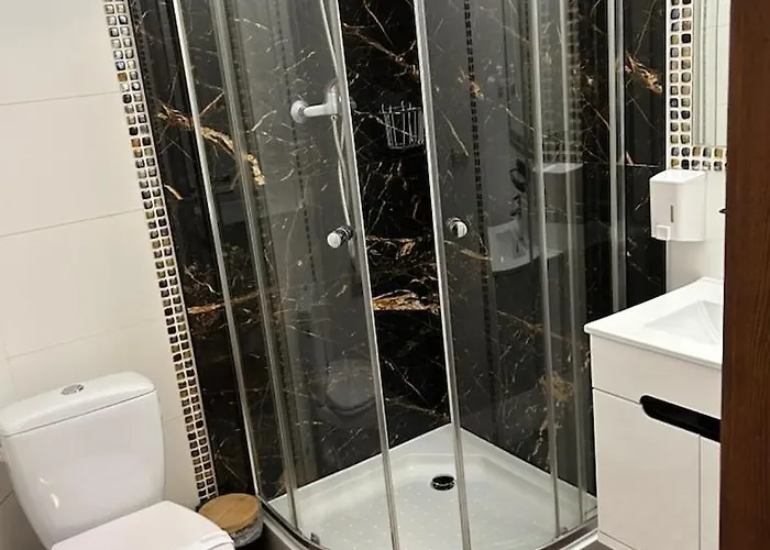 Uslugi Hotelowe A1 * לודז'